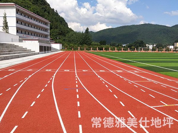 銅仁中學(xué)塑膠跑道、草坪